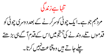 Urdu Kahani Tanha Hai Zindagi