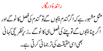 Urdu Kahani Randaye Dargar