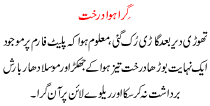 Urdu Kahani Gira Howa Darakht