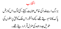 Urdu Story Revolution