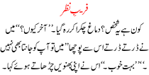 Urdu Kahani Fareeb E Nazar