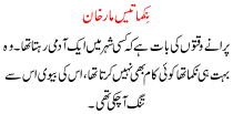 Urdu Story For Children Nikama 30 Maar Khan