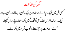 Urdu Story For Children Ghar Ki Hifazat