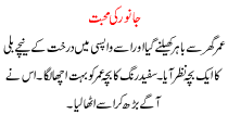 Urdu Story For Children Janwar Ki Muhabbat