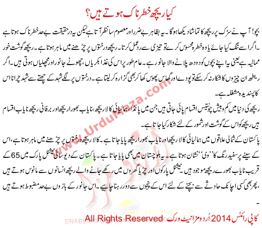 Urdu Story For Children Kia Reech Khatarnak Hote Hai