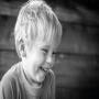 Urdu Story For Children Stupid Donkey