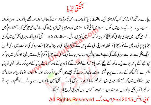 Urdu Story For Children Bhigte Chirya