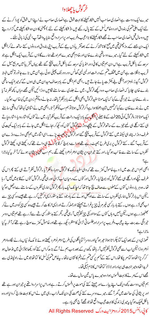 Urdu Khani Khargosh Ya Chalawa