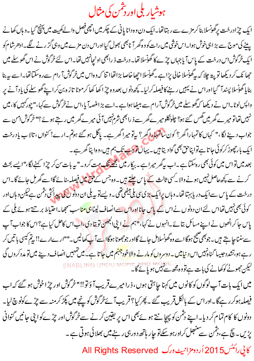 Hoshiyar Bili Aur Dushman Ki Misal