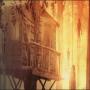 Trailer Of New Horror Film Of Hollywood Tree House Released