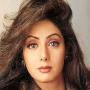 Come back of Sri Devi will appear in Mr India 2 bollywood Movie
