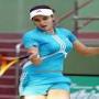 Sania Mirza, Maqboliat main bharti cricketers per bazi le gayen