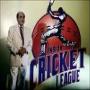 Indian Cricket League Pakistan cricket board should try to secure future of ICL Playing cricketers