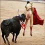 History of dangerous spanish game BULL FIGHTING In past when a criminal was to be punished he was thrown infront of BULL
