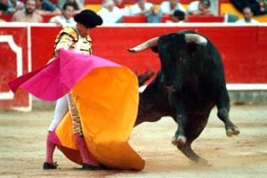 History Of Dangerous Spanish Game Bull Fighting In Past When A Criminal Was To Be Punished He Was Thrown Infront Of Bull